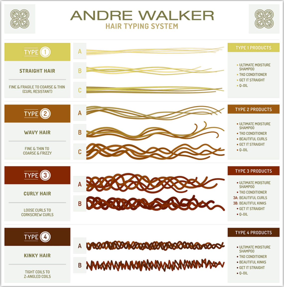 Classification des différents types de cheveux selon André Walker