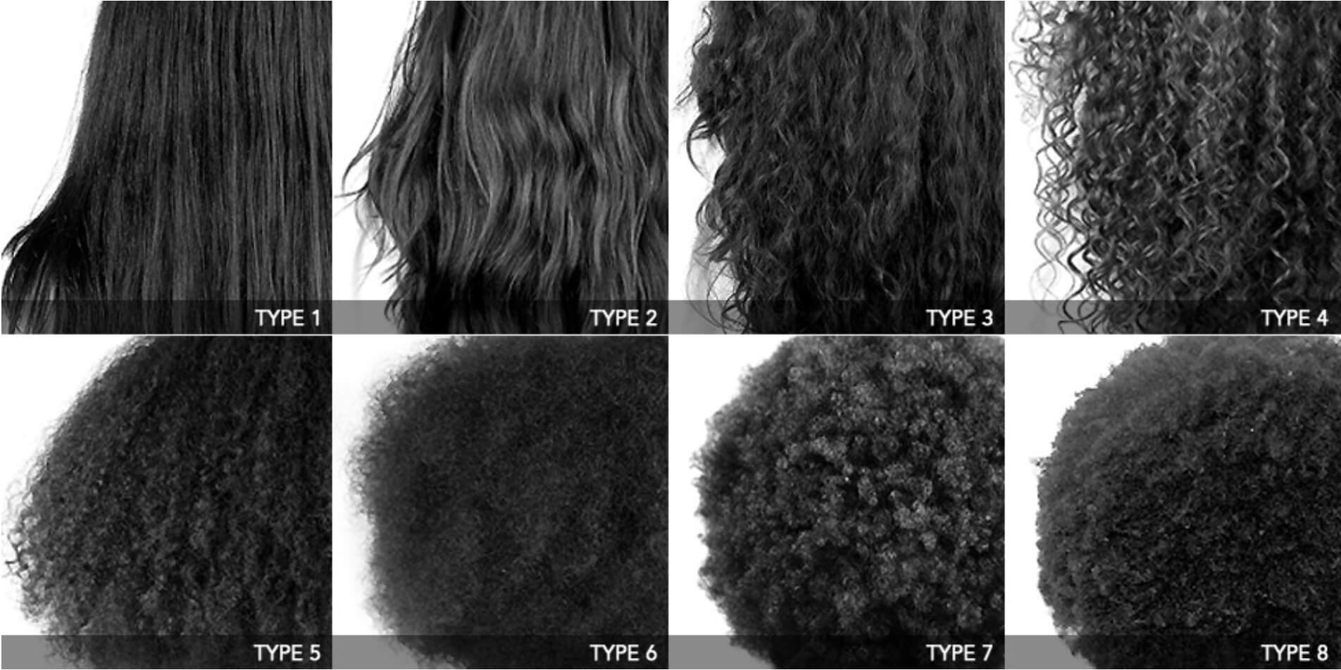 Classification des types de cheveux selon leur structure
